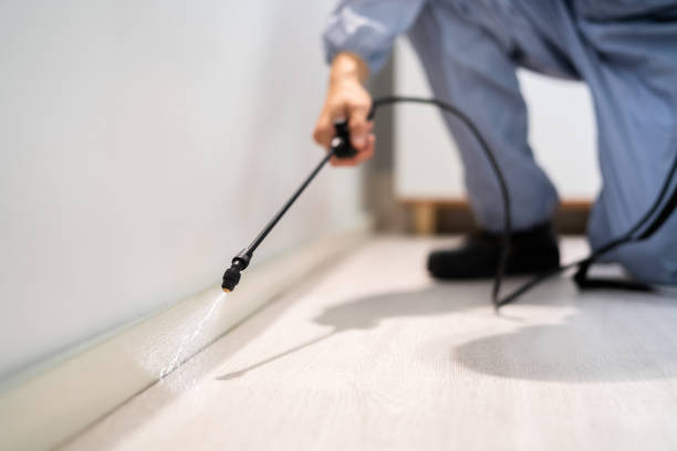 Certified termite inspector examining foundation in Level Plains